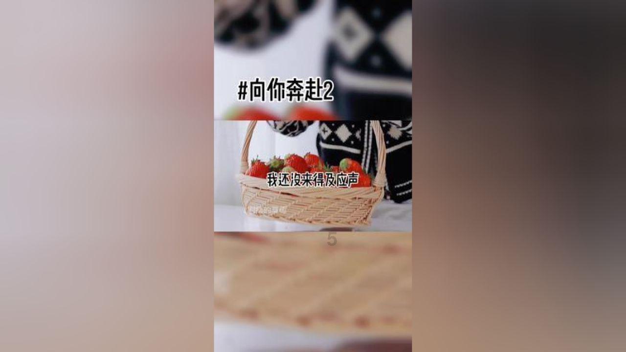 寻找火鸡