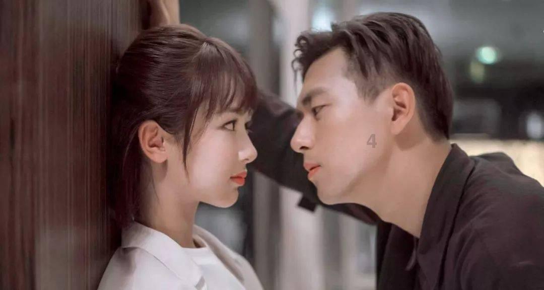 小长颈鹿逃离
