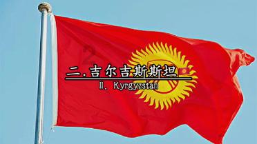 救援鹦鹉