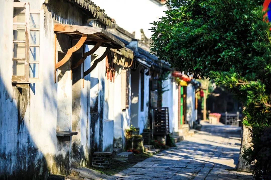 “隔夜菜”不能吃?原来都误解了,这3种放心吃,这3种务必扔掉